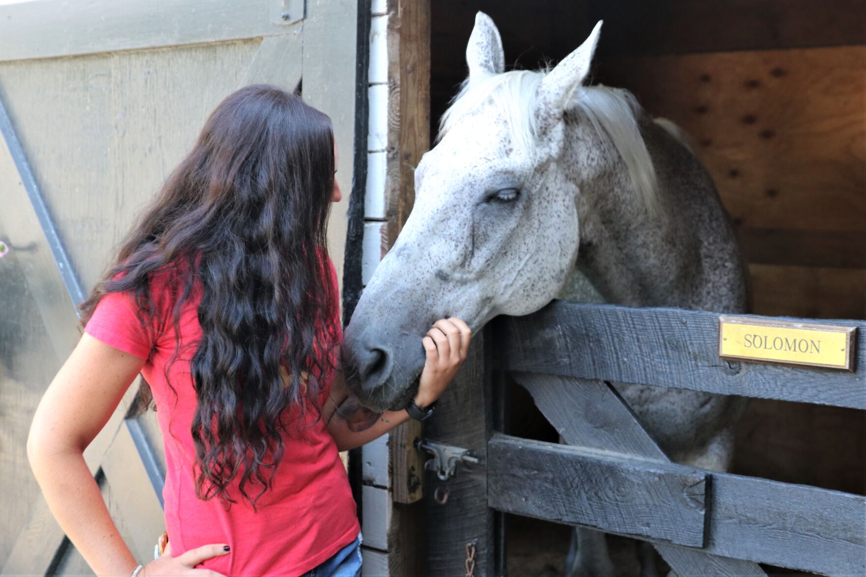 071921-pac-nws-horses